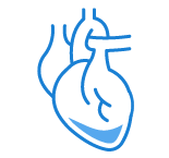 Cardiac Membrane Biology