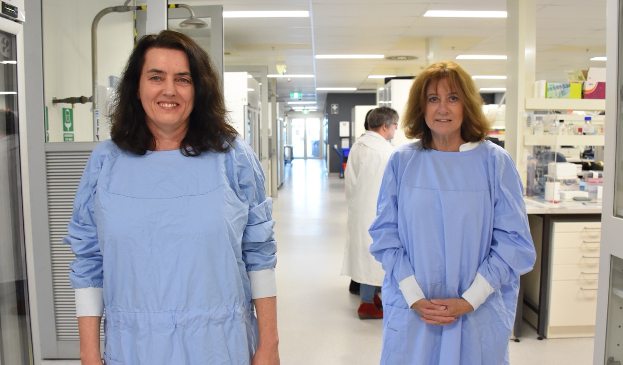 Common, easily accessible medication could reduce severe COVID-19 symptoms