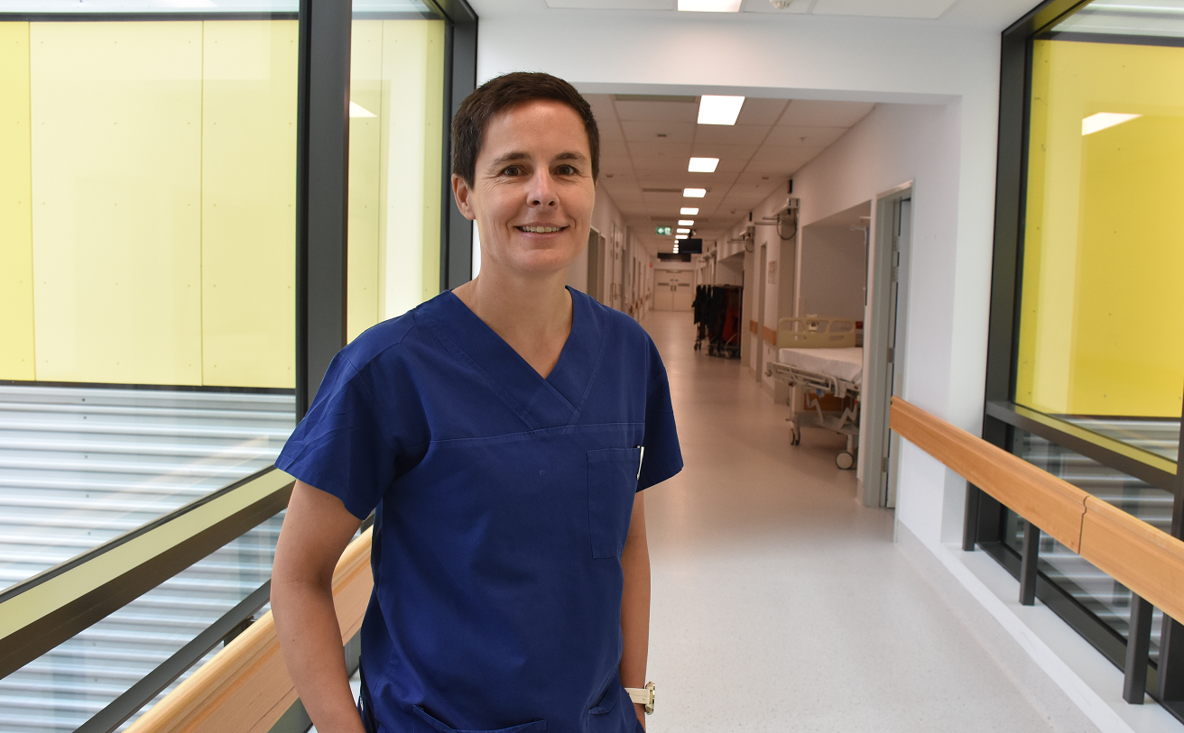 Kolling researchers to drive exciting new projects following funding success