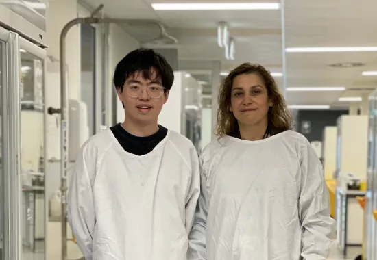 Researchers develop test to identify the severity of kidney disease