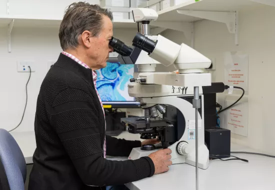 Our researchers making an impact on the world stage