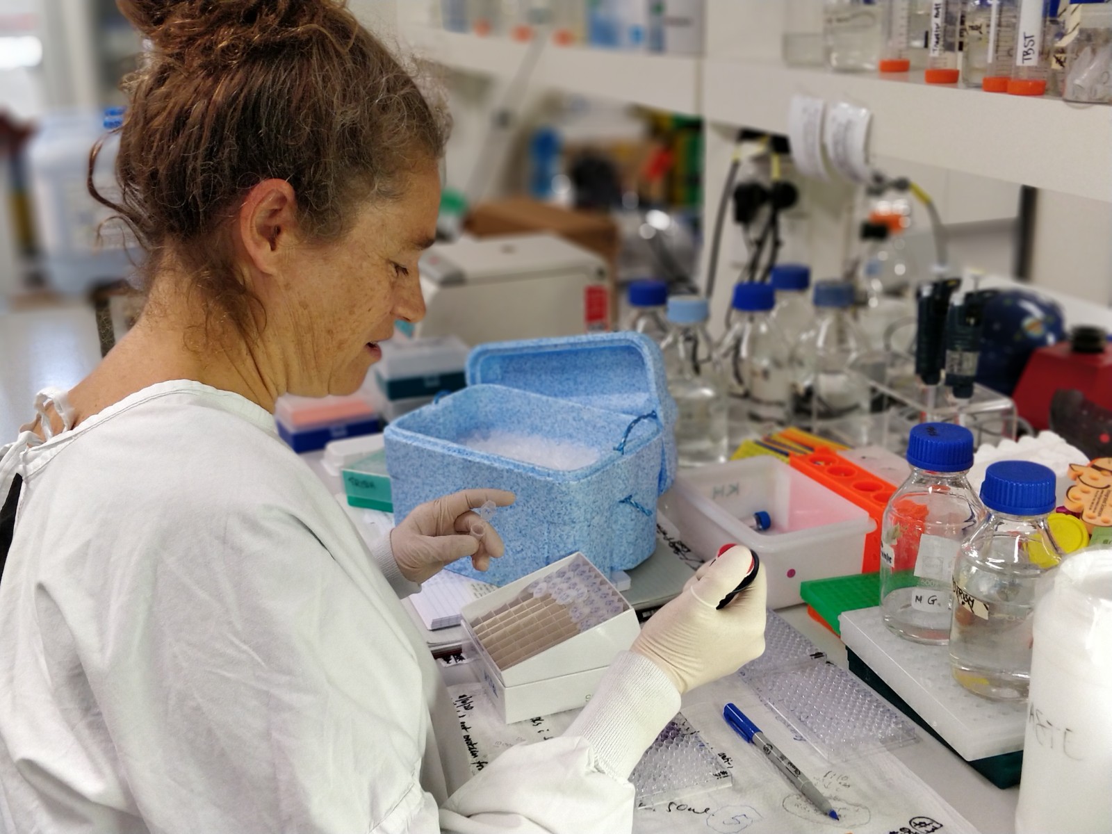 Support for innovative research