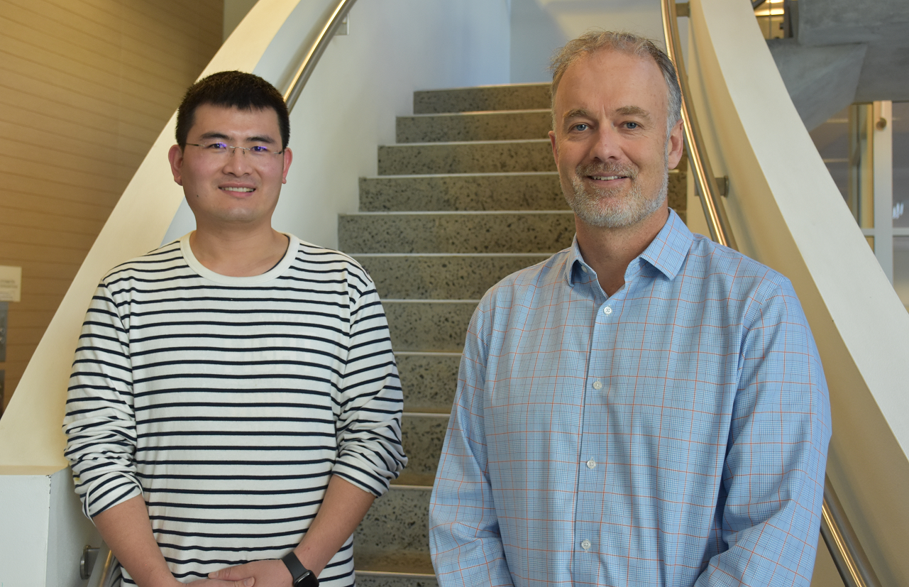 New research challenges long-held views about high heels and joint pain