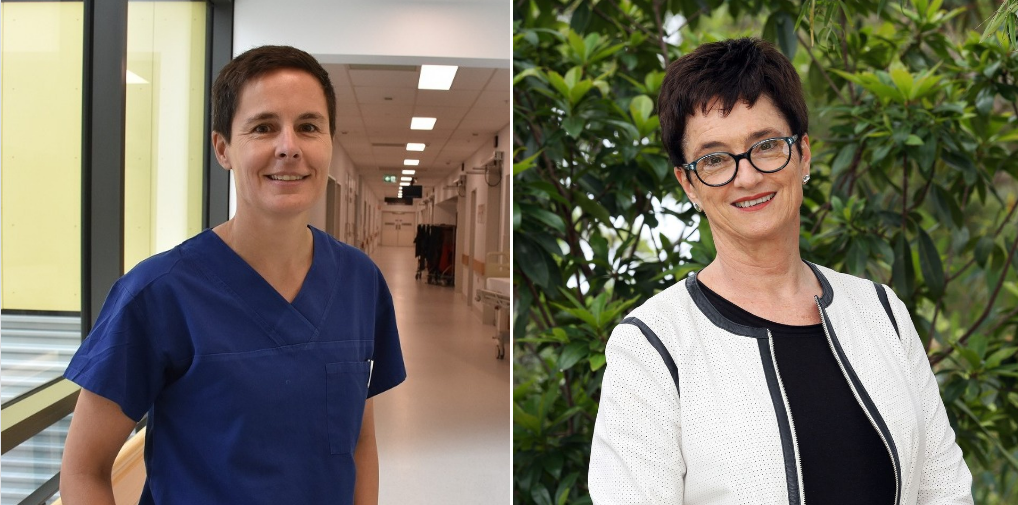Kolling researchers receive Australia Day honours