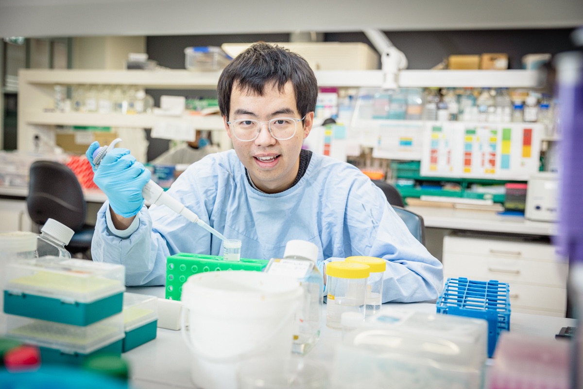 Researchers develop urine test based on kidney cell colour and AI to diagnose chronic kidney disease