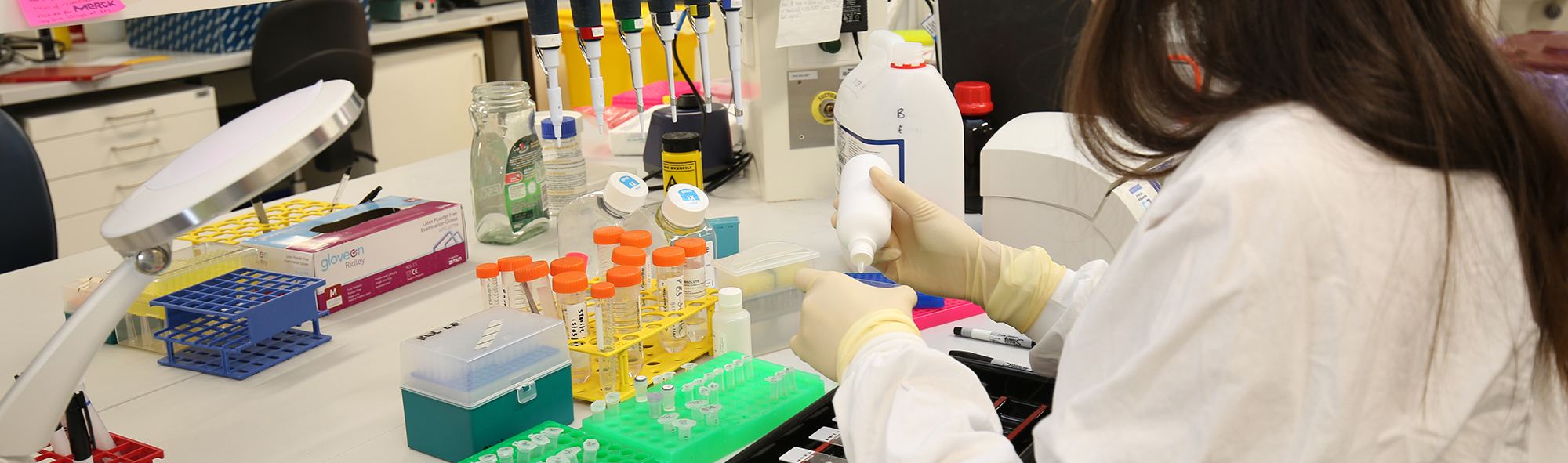 Bill Walsh Translational Cancer Research Laboratory