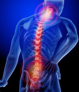 Musculoskeletal Research