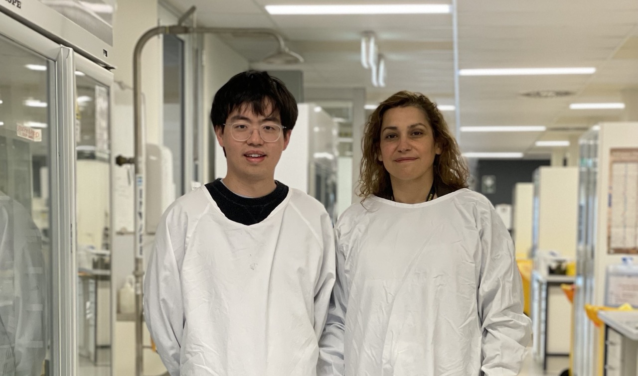 Researchers develop test to identify the severity of kidney disease