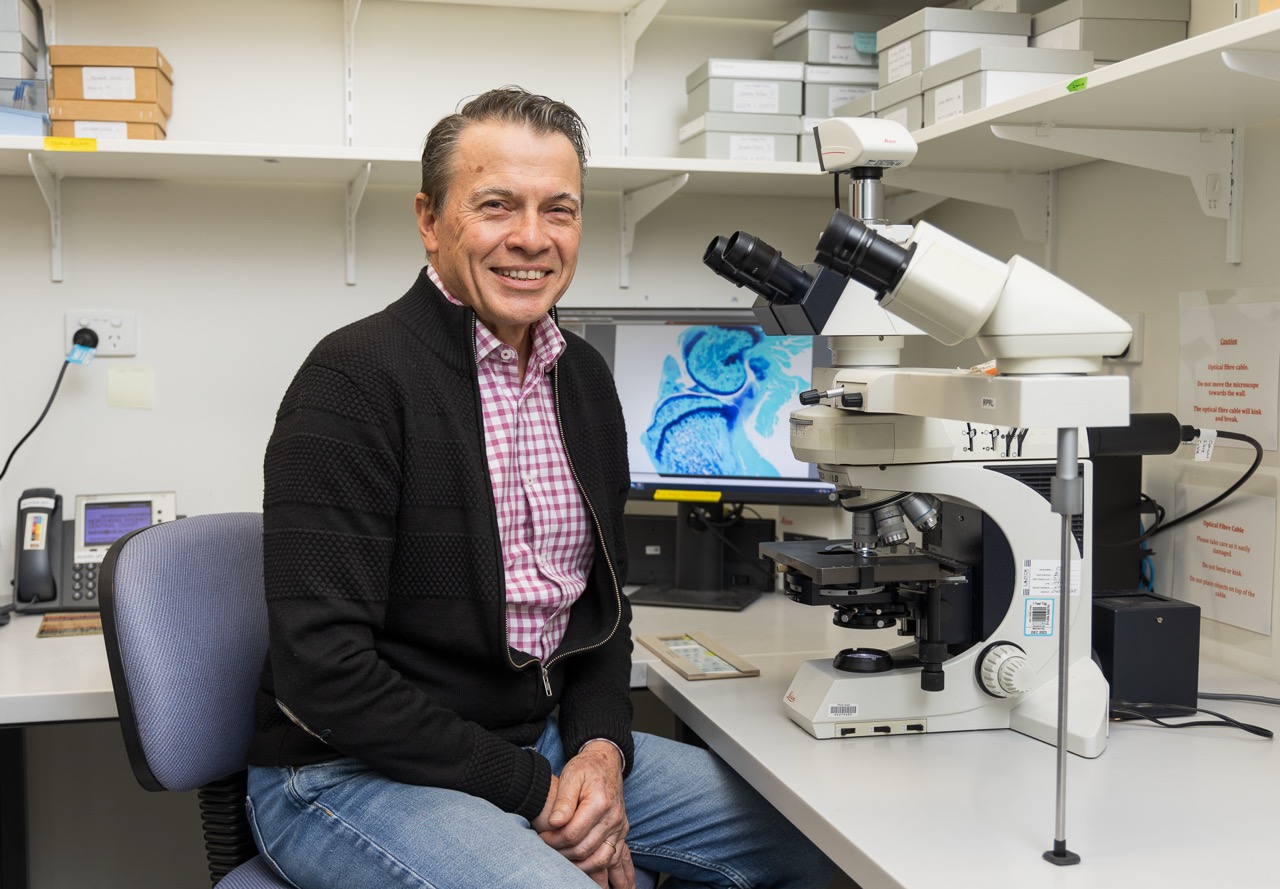 Grant success for our innovative ideas