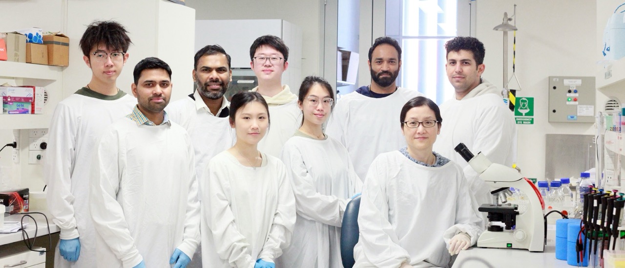 Prestigious grant for groundbreaking blood cancer research at the Kolling