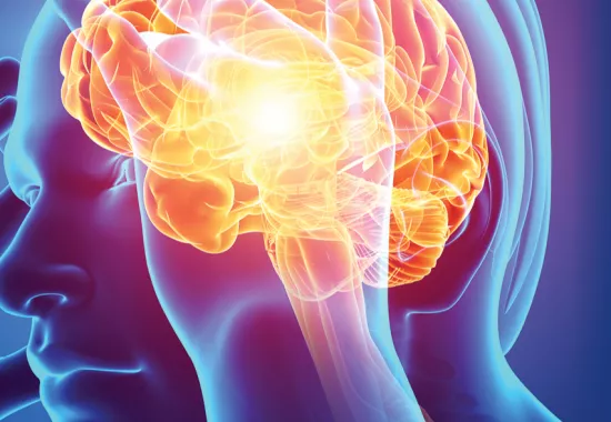 World-leading research in the spotlight