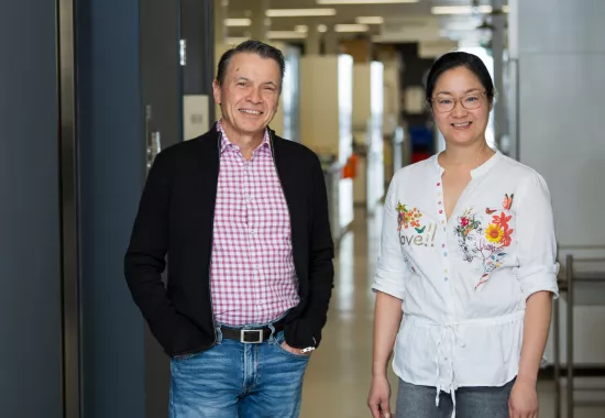 Bad knees might cause broken hearts