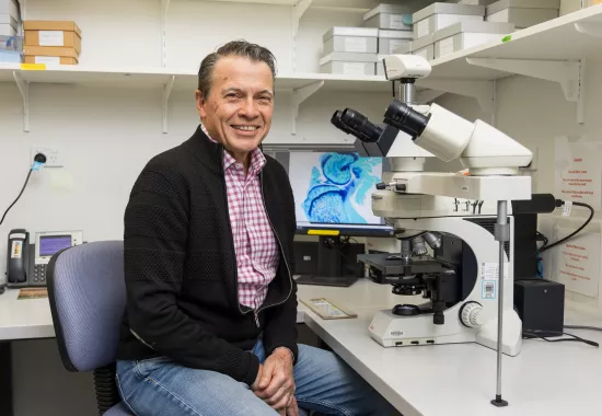 Grant success for our innovative ideas