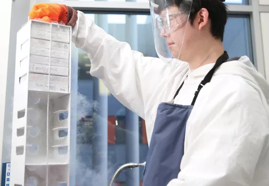 Kolling Institute Year in Review