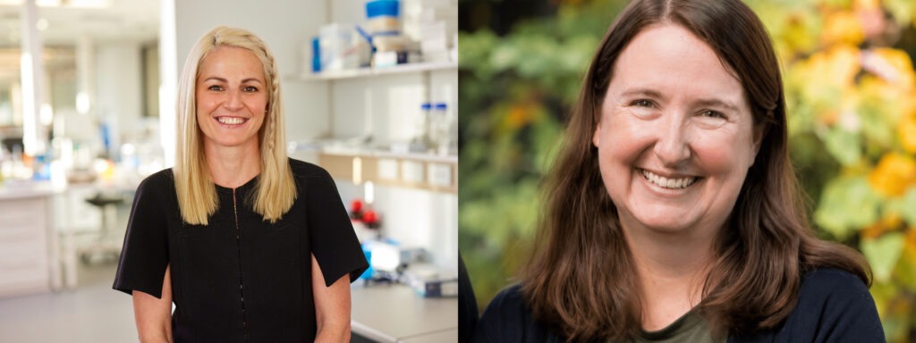 Internationally-recognised researchers join the Kolling