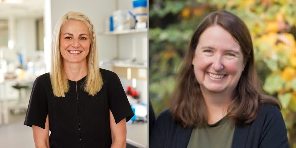 Internationally-recognised researchers join the Kolling