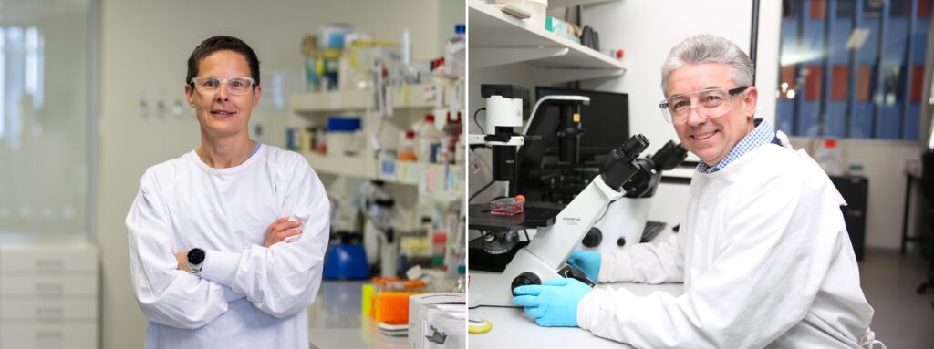 Kolling expertise secures funding to tackle some of our biggest health challenges