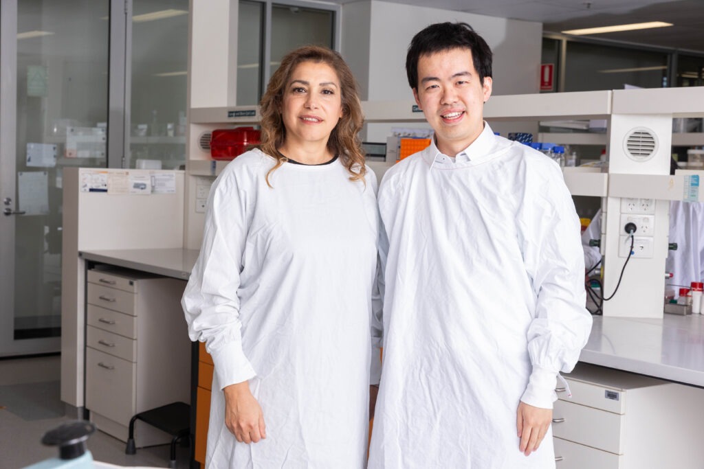 New test to identify the cause of kidney transplant complications